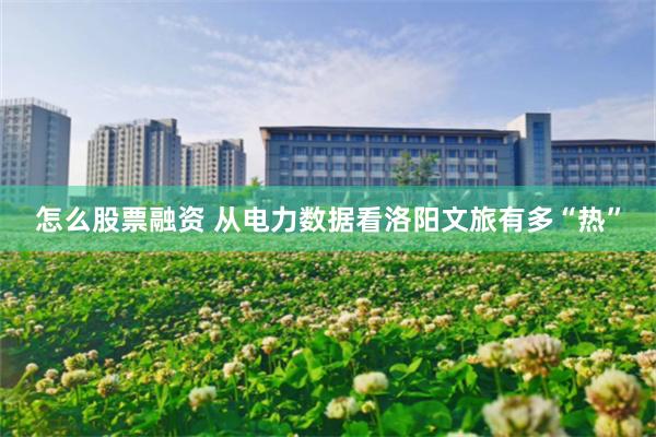 怎么股票融资 从电力数据看洛阳文旅有多“热”