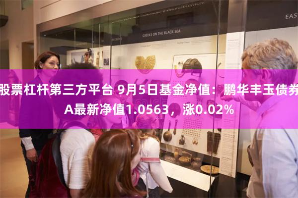 股票杠杆第三方平台 9月5日基金净值：鹏华丰玉债券A最新净值1.0563，涨0.02%