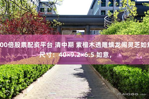 100倍股票配资平台 清中期 紫檀木透雕螭龙闹灵芝如意 尺寸：40×9.2×6.5 如意，