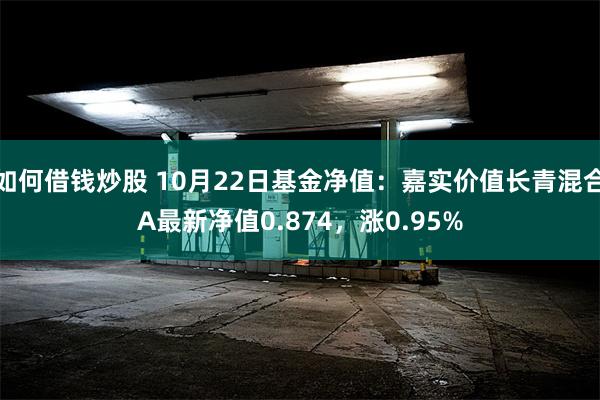 如何借钱炒股 10月22日基金净值：嘉实价值长青混合A最新净值0.874，涨0.95%