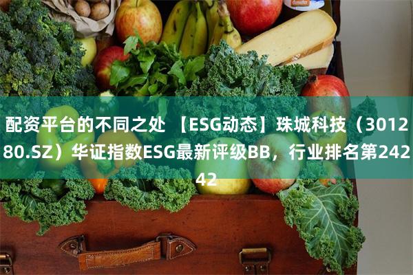 配资平台的不同之处 【ESG动态】珠城科技（301280.SZ）华证指数ESG最新评级BB，行业排名第242