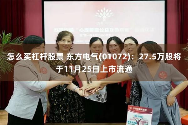 怎么买杠杆股票 东方电气(01072)：27.5万股将于11月25日上市流通