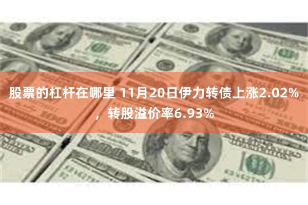 股票的杠杆在哪里 11月20日伊力转债上涨2.02%，转股溢价率6.93%