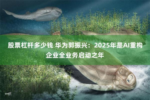 股票杠杆多少钱 华为郭振兴：2025年是AI重构企业全业务启动之年