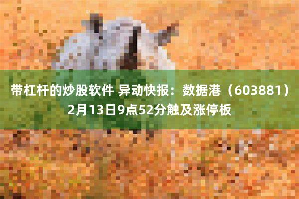 带杠杆的炒股软件 异动快报：数据港（603881）2月13日9点52分触及涨停板