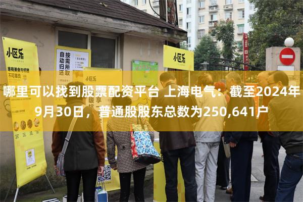 哪里可以找到股票配资平台 上海电气：截至2024年9月30日