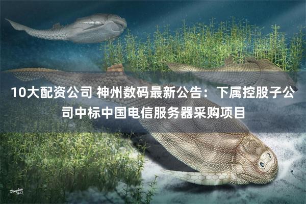 10大配资公司 神州数码最新公告：下属控股子公司中标中国电信