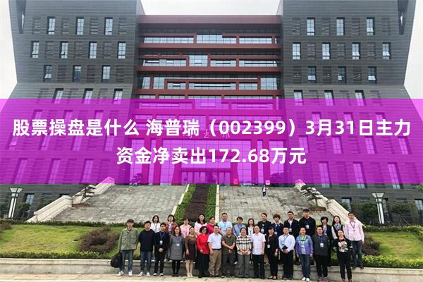 股票操盘是什么 海普瑞（002399）3月31日主力资金净卖
