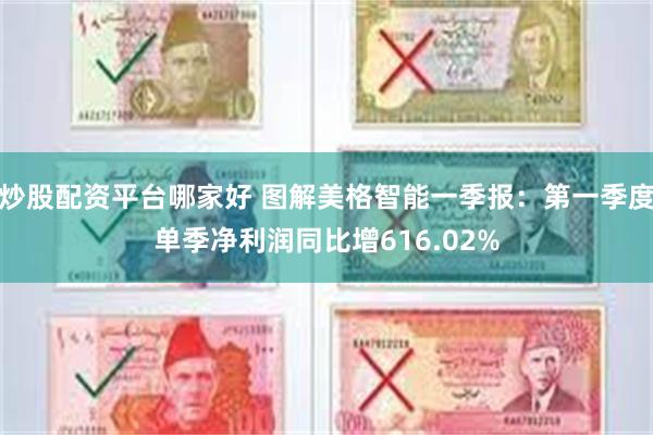 炒股配资平台哪家好 图解美格智能一季报：第一季度单季净利润同