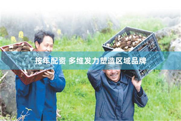 按年配资 多维发力塑造区域品牌
