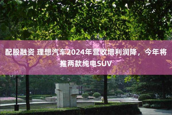 配股融资 理想汽车2024年营收增利润降，今年将推两款纯电S