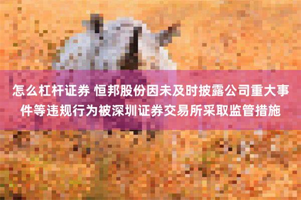怎么杠杆证券 恒邦股份因未及时披露公司重大事件等违规行为被深