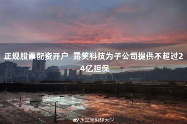 正规股票配资开户  露笑科技为子公司提供不超过2.4亿担保