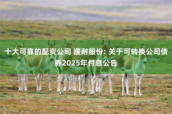 十大可靠的配资公司 濮耐股份: 关于可转换公司债券2025年
