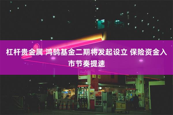 杠杆贵金属 鸿鹄基金二期将发起设立 保险资金入市节奏提速