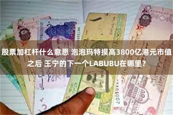 股票加杠杆什么意思 泡泡玛特摸高3800亿港元市值之后 王宁