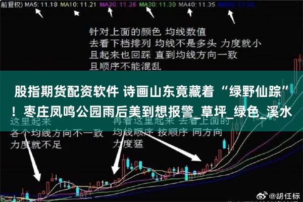 股指期货配资软件 诗画山东竟藏着 “绿野仙踪”！枣庄凤鸣公园