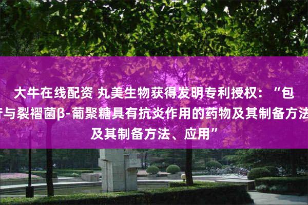 大牛在线配资 丸美生物获得发明专利授权：“包含花色苷与裂褶菌