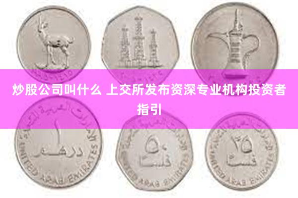 炒股公司叫什么 上交所发布资深专业机构投资者指引