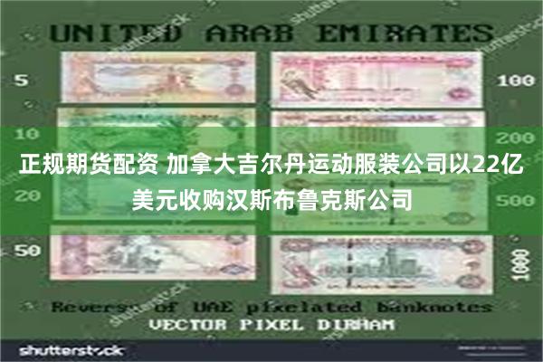 正规期货配资 加拿大吉尔丹运动服装公司以22亿美元收购汉斯布